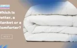 buy best comforter online