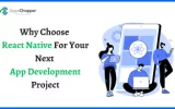 why choose react native for your project