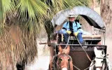 Palm Spring Desert Tours