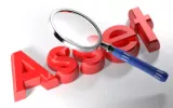 asset search New York