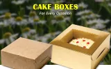 cake boxes
