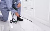 Bed Bug Solution