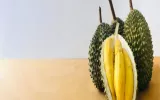 Durian Delivery