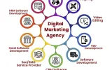 Professional Digital Transformation & Online Marketing Services