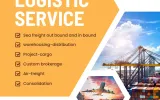Project Cargo in Dubai, UAE - Sea Wings Logistics LLC