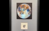 Artefactum Gallery Dubai fossils and meteorites