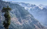 shimla manali tour from rajkot