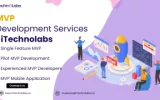 MVP Development Company