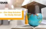 Study Abroad Consultant