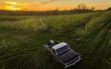 perro en camioneta