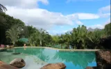 Rainforest Retreats Nsw