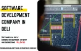 Software Development Company in Delhi