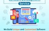 Best Web-Mobile App development Company in India | Snetzweb