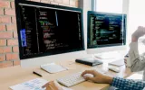 Website development