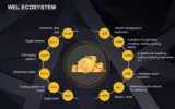 Wel Ecosystem